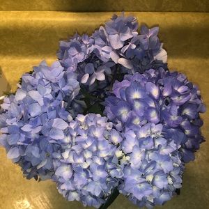 Meet your Posher, Laurie